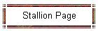 Stallion Page